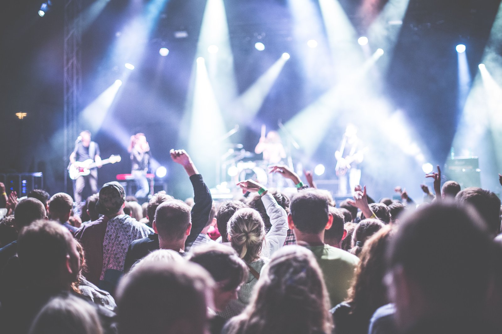 Music Festivals & Comedy Shows